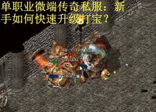 单职业微端传奇私服：新手如何快速升级打宝？