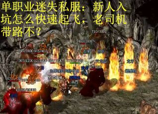 单职业迷失私服：新人入坑怎么快速起飞，老司机带路不？