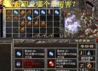 大金丹职业哪个最厉害？