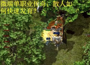 微端单职业传奇：散人如何快速发育？