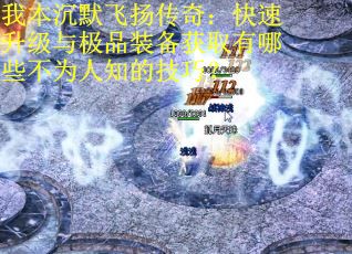 我本沉默飞扬传奇：快速升级与极品装备获取有哪些不为人知的技巧？