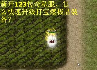 新开123传奇私服，怎么快速升级打宝爆极品装备？