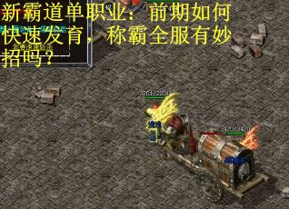 新霸道单职业:前期如何快速发育,称霸全服有妙招吗? 新霸道单职业:前期如何快速发育,称霸全服有妙招吗?