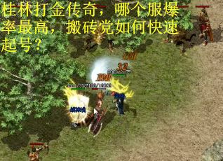 桂林打金传奇，哪个服爆率最高，搬砖党如何快速起号？