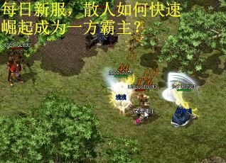 每日新服，散人如何快速崛起成为一方霸主？