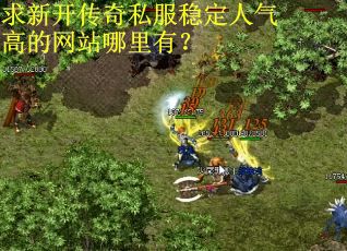求新开传奇私服稳定人气高的网站哪里有？