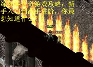 绿视界传奇游戏攻略:新手入门到高手进阶,你最想知道什么? 绿视界传奇游戏攻略:新手入门到高手进阶,你最想知道什么?