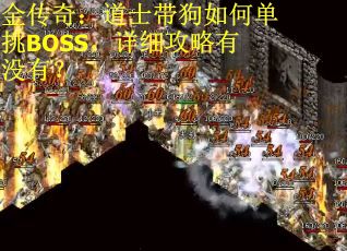 金传奇：道士带狗如何单挑BOSS，详细攻略有没有？