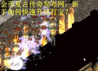 金币复古传奇发布网：新手如何快速升级打宝？