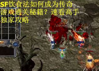 SF饮食法如何成为传奇游戏通关秘籍？速看高手独家攻略