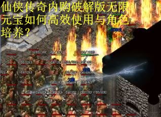 仙侠传奇内购破解版无限元宝如何高效使用与角色培养？