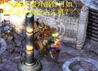 传奇SF新服开服首日如何快速冲级抢占先机? 传奇SF新服开服首日如何快速冲级抢占先机?