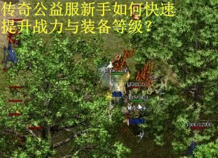 传奇公益服新手如何快速提升战力与装备等级? 传奇公益服新手如何快速提升战力与装备等级?
