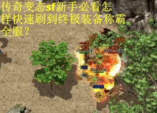 传奇变态sf新手必看怎样快速刷到终极装备称霸全服？