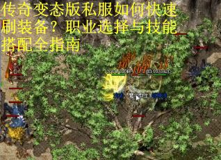 传奇变态版私服如何快速刷装备？职业选择与技能搭配全指南
