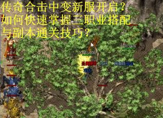 传奇合击中变新服开启？如何快速掌握三职业搭配与副本通关技巧？