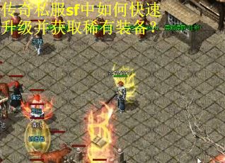 传奇私服sf中如何快速升级并获取稀有装备？