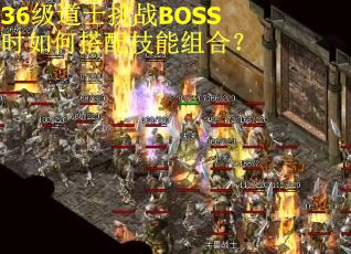 36级道士挑战BOSS时如何搭配技能组合？