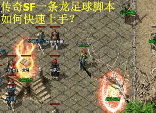 传奇SF一条龙足球脚本如何快速上手？