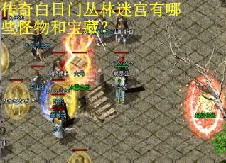 传奇白日门丛林迷宫有哪些怪物和宝藏？