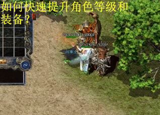 如何快速提升角色等级和装备？