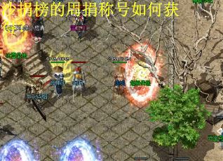 沙捐榜的周捐称号如何获得？