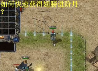 如何快速获得翅膀进阶丹？