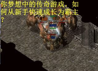 你梦想中的传奇游戏，如何从新手快速成长为霸主？