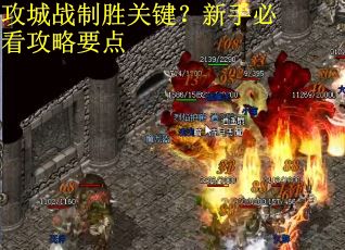 攻城战制胜关键？新手必看攻略要点