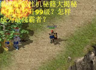 传奇新服挂机秘籍大揭秘：如何秒升99级？怎样成为最强霸者？