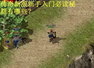 传奇新服新手入门必读秘籍有哪些？