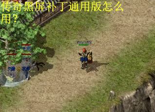 传奇黑屏补丁通用版怎么用？