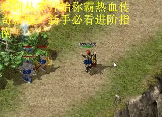 如何从零开始称霸热血传奇新服?新手必看进阶指南 如何从零开始称霸热血传奇新服?新手必看进阶指南