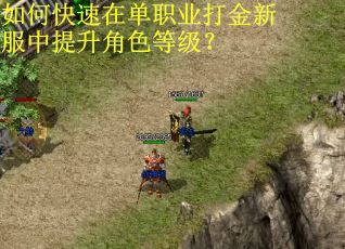 如何快速在单职业打金新服中提升角色等级? 如何快速在单职业打金新服中提升角色等级?