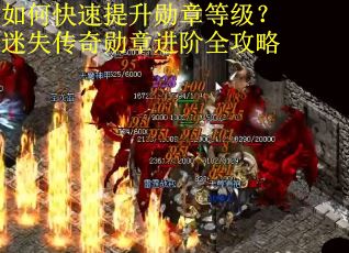 如何快速提升勋章等级？迷失传奇勋章进阶全攻略