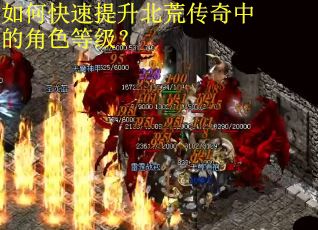 如何快速提升北荒传奇中的角色等级？