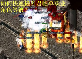 如何快速提升君临单职业角色等级？