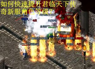 如何快速提升君临天下传奇新服角色等级？