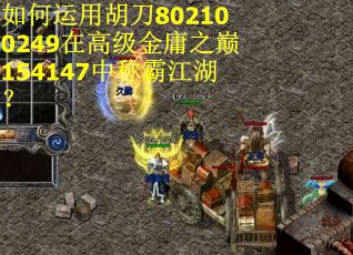 如何运用胡刀802100249在高级金庸之巅154147中称霸江湖？