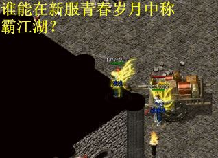 谁能在新服青春岁月中称霸江湖？