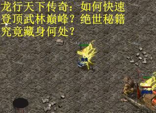 龙行天下传奇：如何快速登顶武林巅峰？绝世秘籍究竟藏身何处？