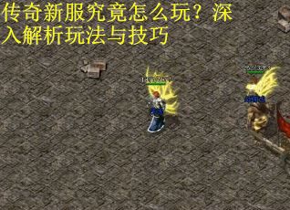 传奇新服究竟怎么玩？深入解析玩法与技巧