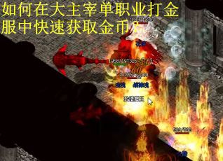 如何在大主宰单职业打金服中快速获取金币？