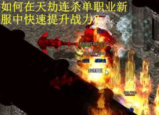 如何在天劫连杀单职业新服中快速提升战力？
