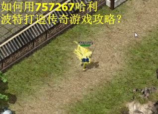 如何用757267哈利波特打造传奇游戏攻略？