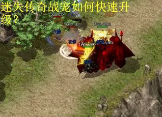 迷失传奇战宠如何快速升级？