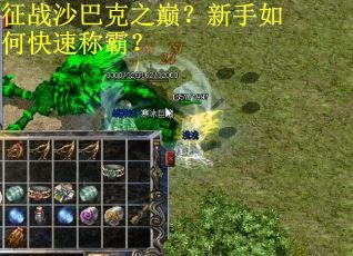 征战沙巴克之巅？新手如何快速称霸？